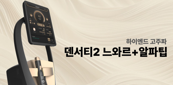 덴서티 2 느와르 업그레이드 런칭